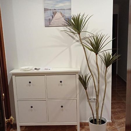 Apartamento Viveiro Apartment Екстериор снимка