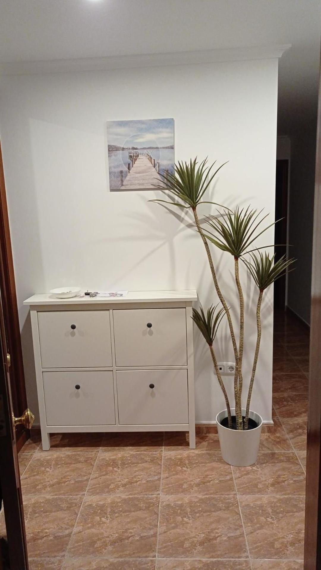 Apartamento Viveiro Apartment Екстериор снимка